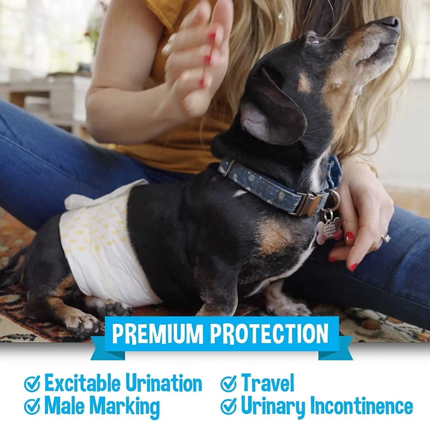 Male Dog Diapers 20 Pack – Disposable Belly Bands, Leak Proof, Absorbent