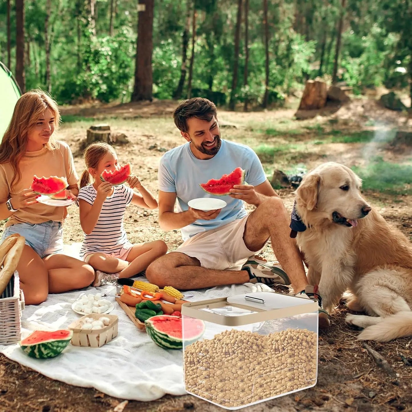 2 Pack Airtight Dog Food Storage Containers 10lb Clear Bins w/ Scoops Pet Treat Box