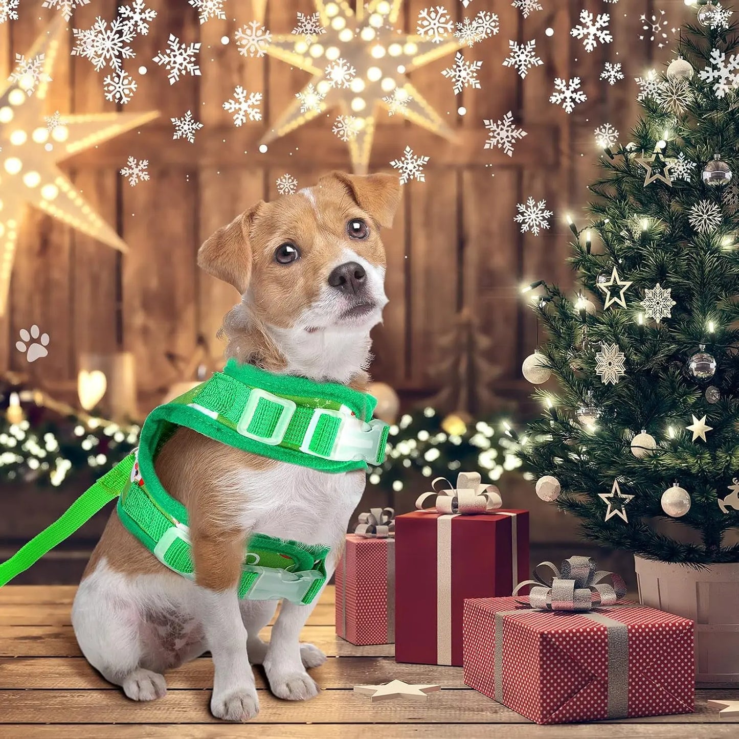 2-Pack Christmas Dog Harness & Leash Set – Adjustable Escape-Proof Vest (Medium)