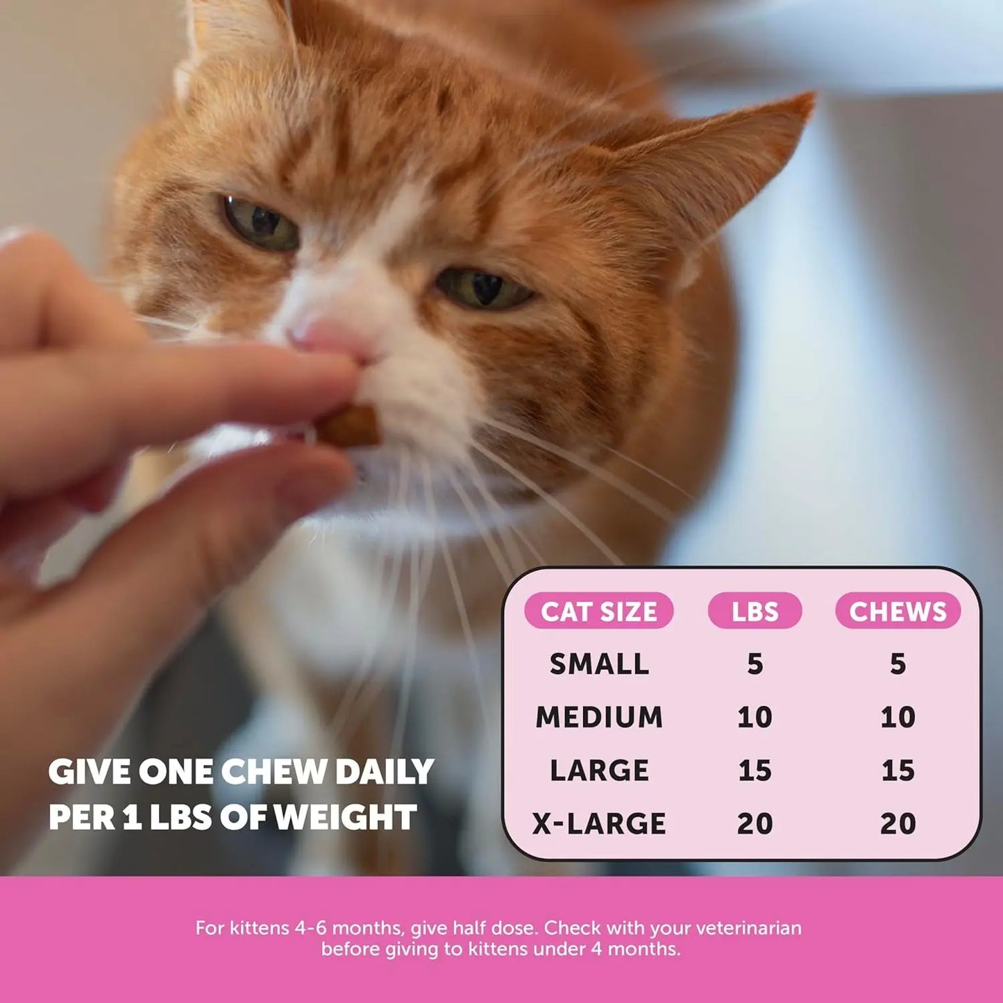 Cat Multivitamin Chews – Immune, Joint, Skin & Digestion Support (90ct)
