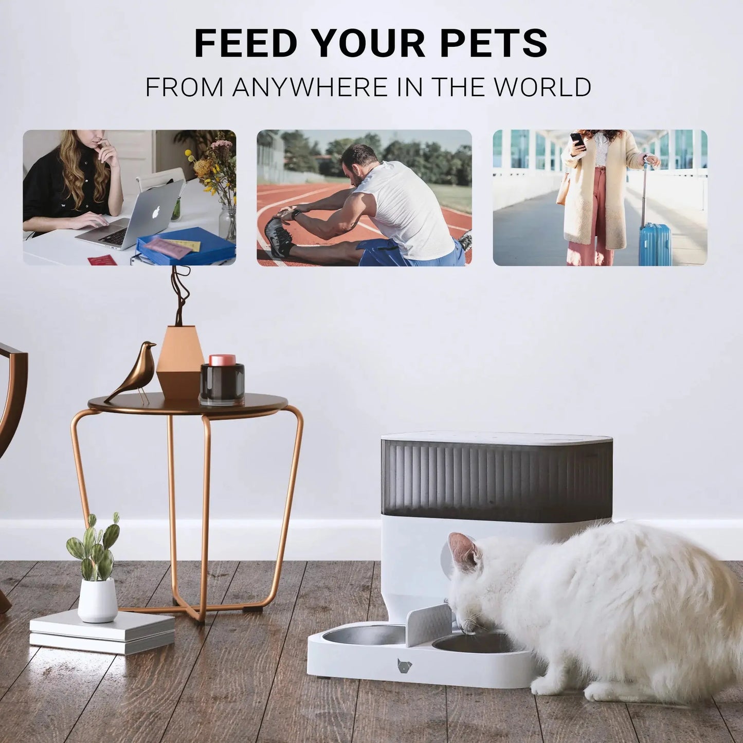 Double Automatic Pet Feeder, Two-Way Splitter and Double Bowls for Cats and Dogs