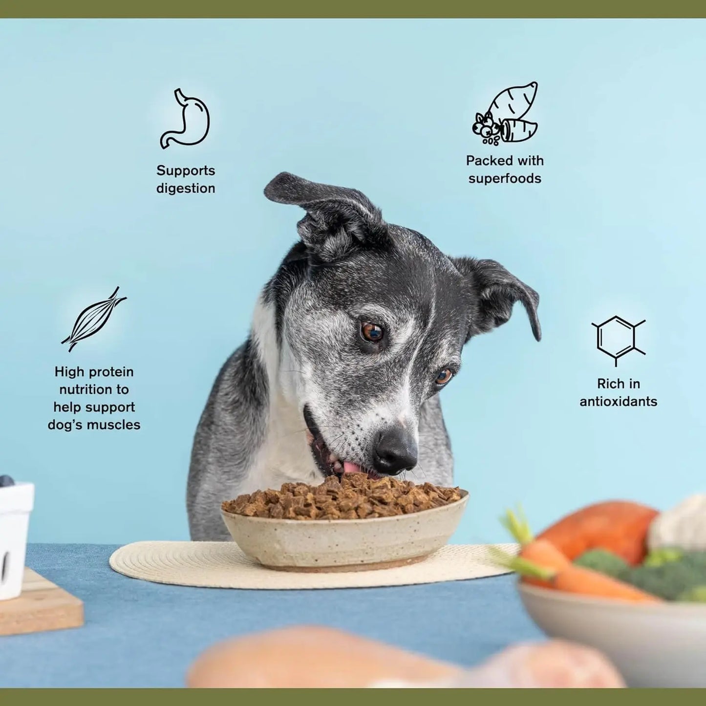 Superfood Complete Adult Dog Food 24oz Beef or Fish | Air-Dried High Protein, No Fillers