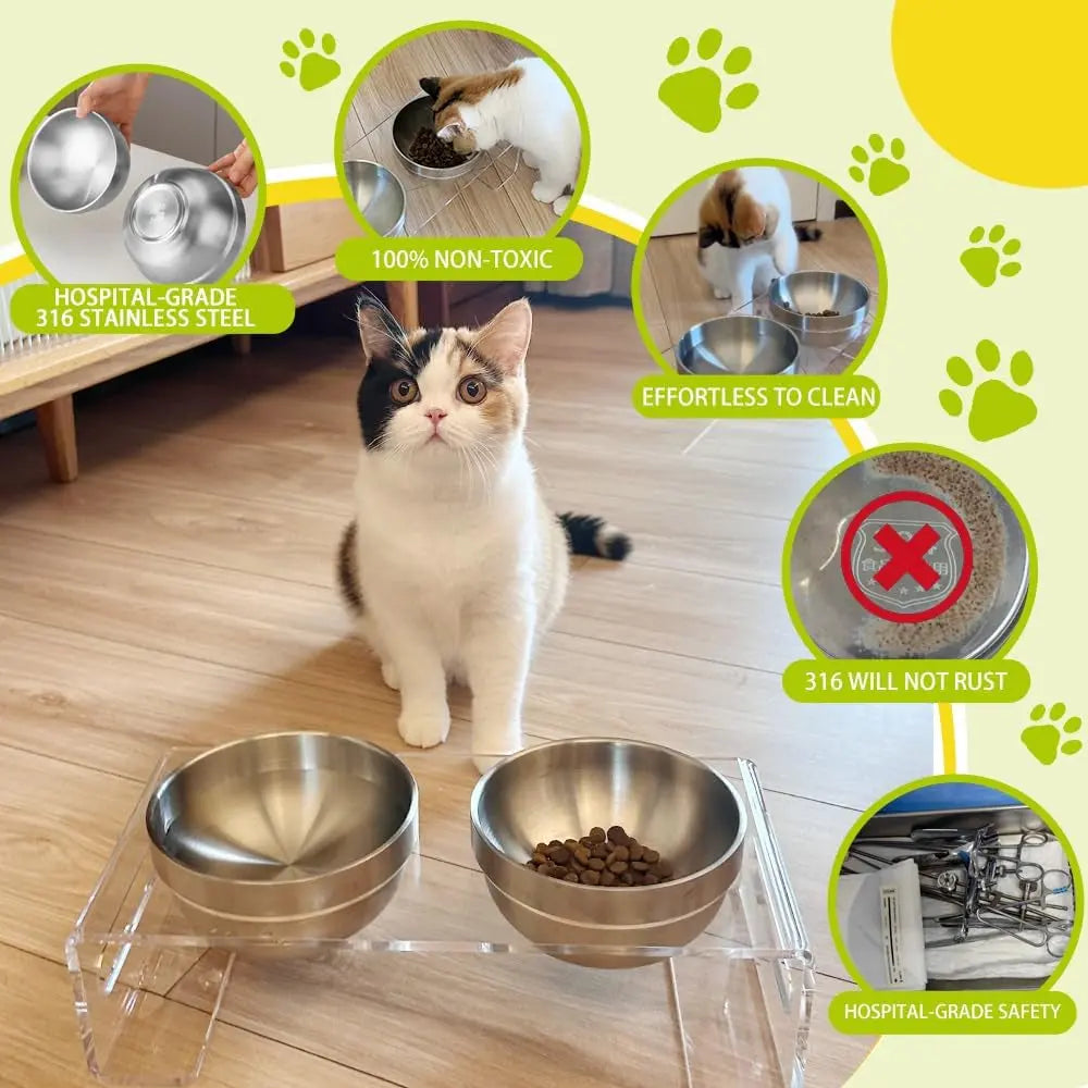 Acrylic Elevated Pet Bowls with Stand, Stainless Steel Feeder for Cats & Dogs