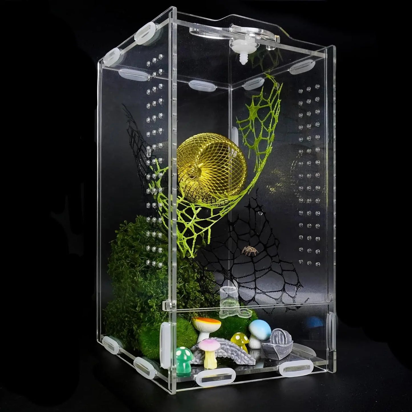 Acrylic Jumping Spider Enclosure Ventilated Habitat for Small Reptiles