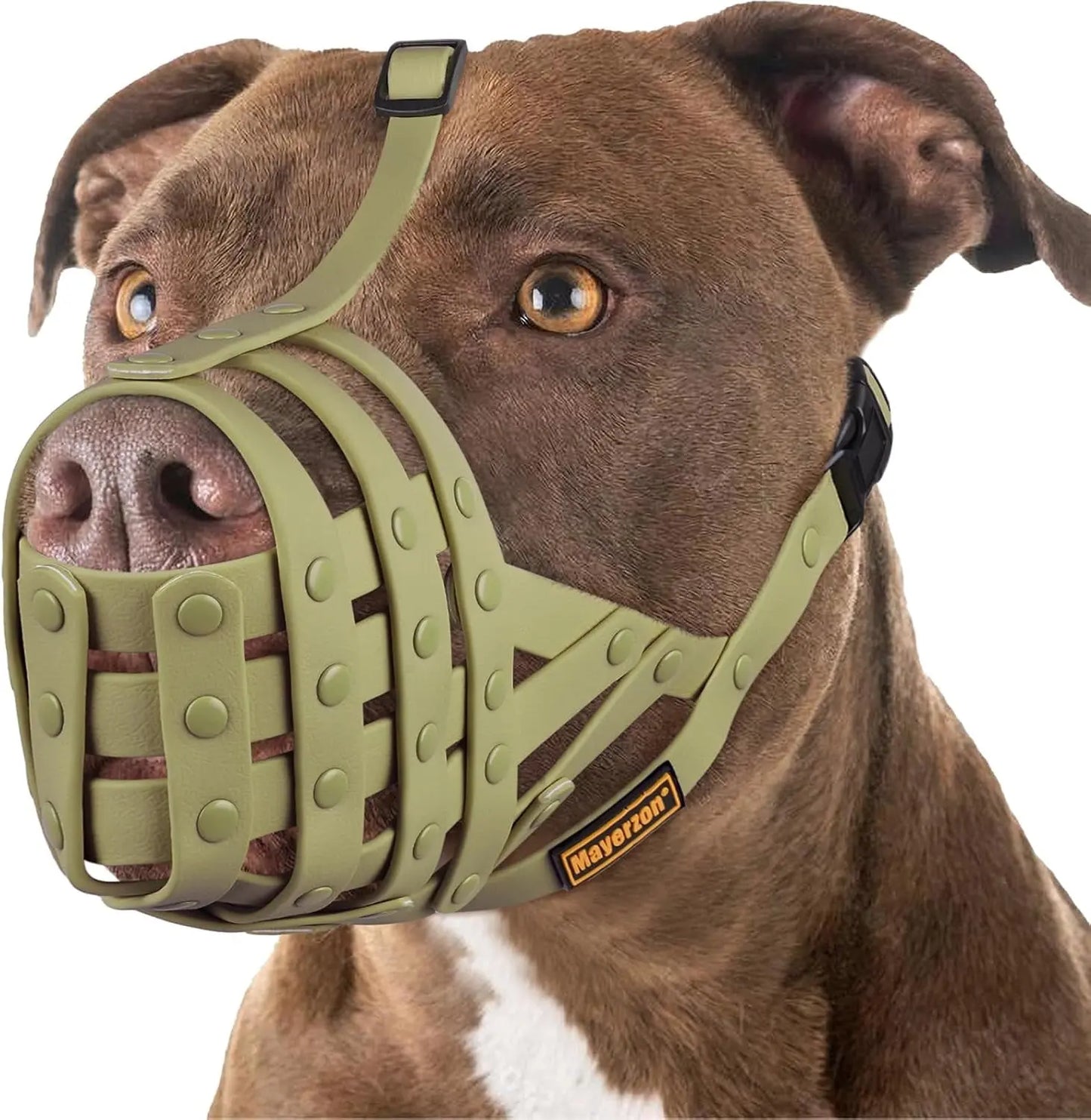 Adjustable Basket Dog Muzzle for Large & Medium Dogs, Lightweight & Breathable Green