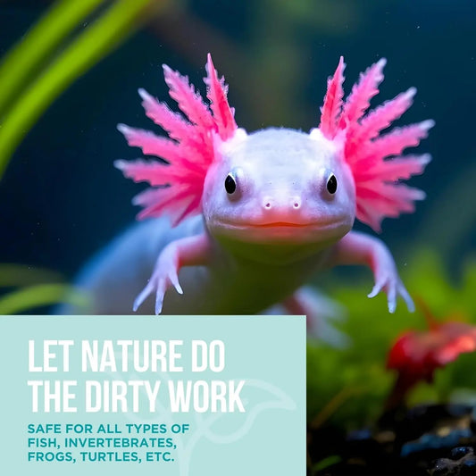 Aquarium Gravel Cleaner 16oz for Fresh & Saltwater – Waste Control