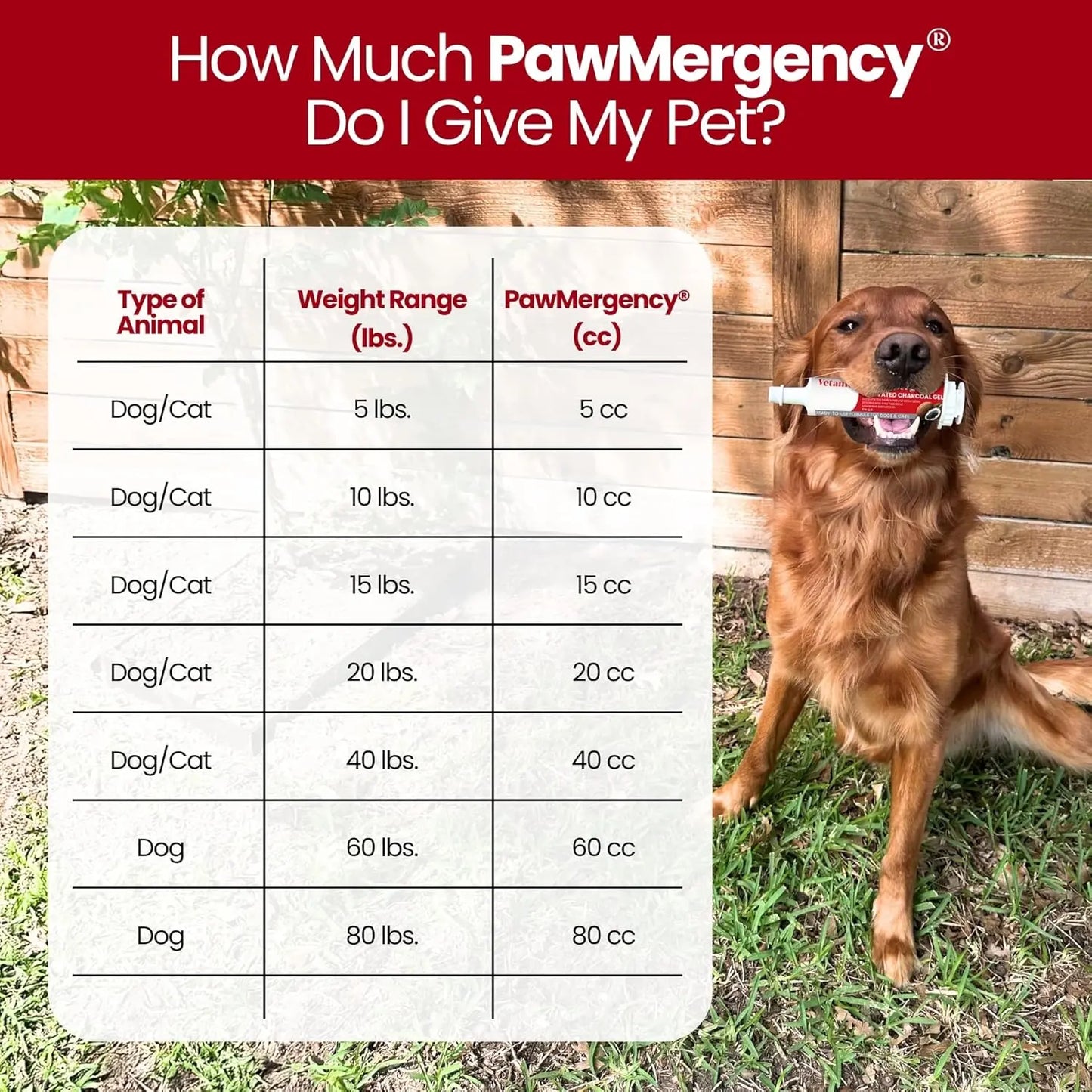 PawMergency Charcoal Pet First Aid – Emergency Toxin Rescue for Dogs & Cats