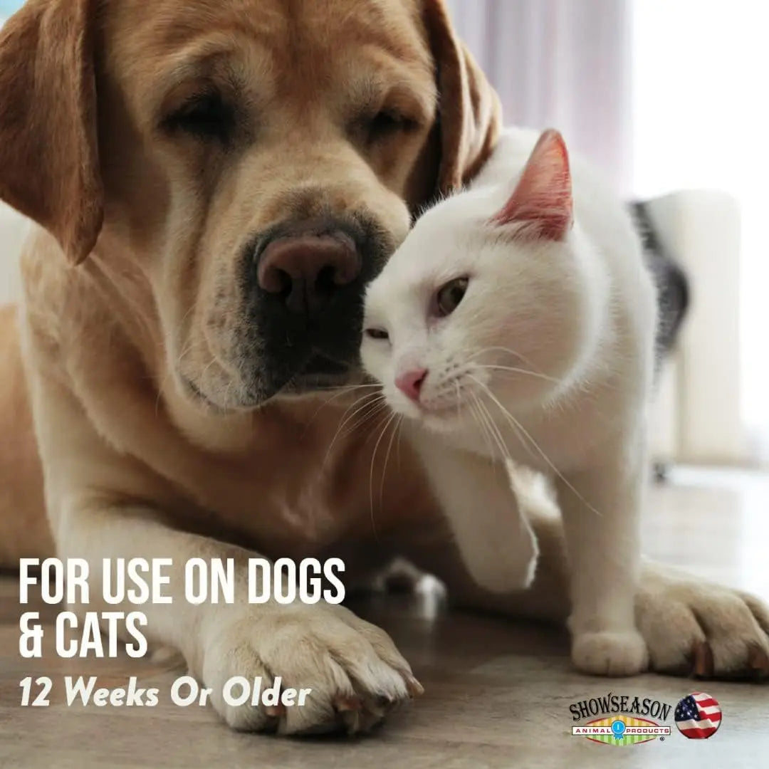 South Bark Blue-Shed Pet Shampoo 12oz – Deshedding & Brightening for Dogs & Cats