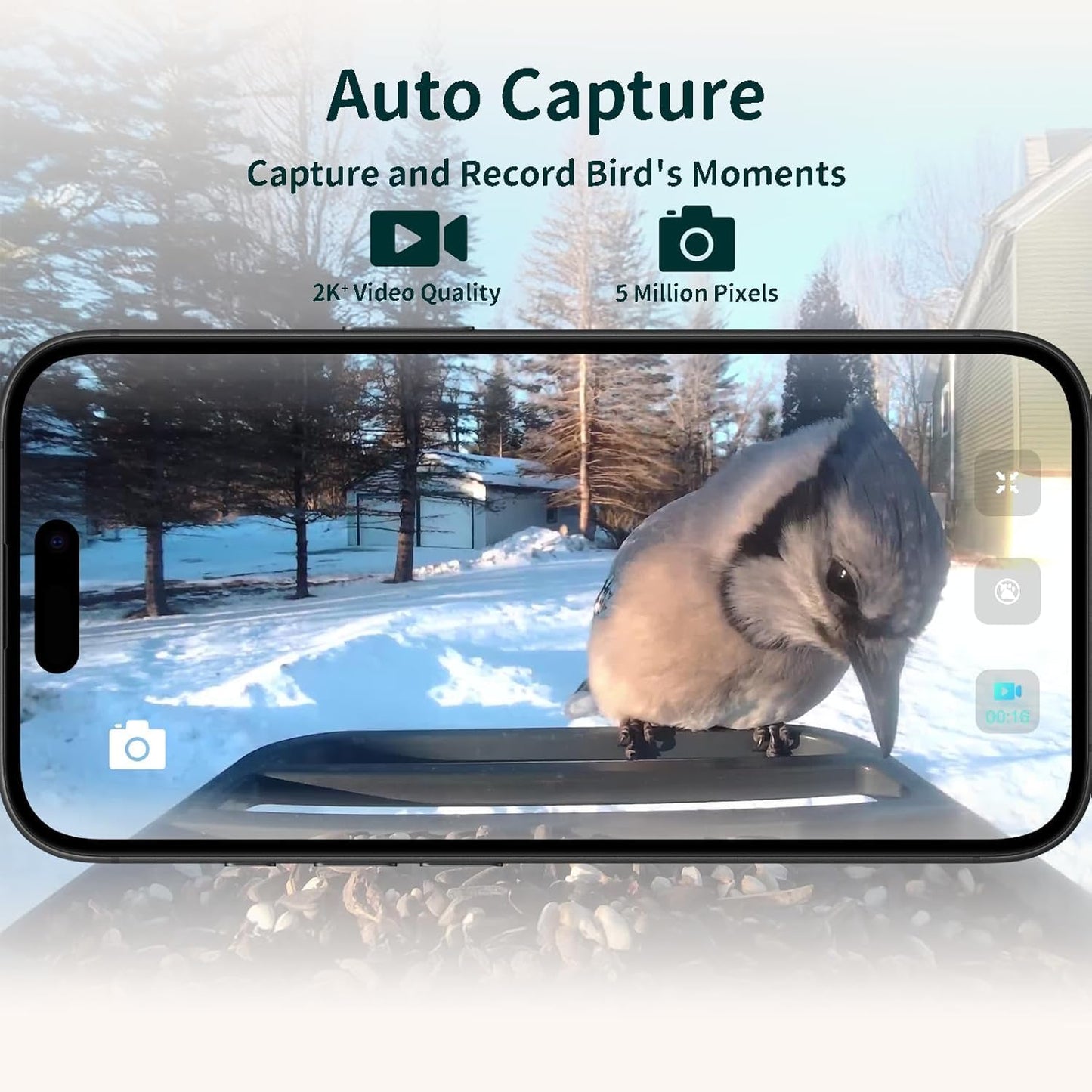 Smart Bird Feeder with Camera, 2K HD, Solar Power & AI Bird ID