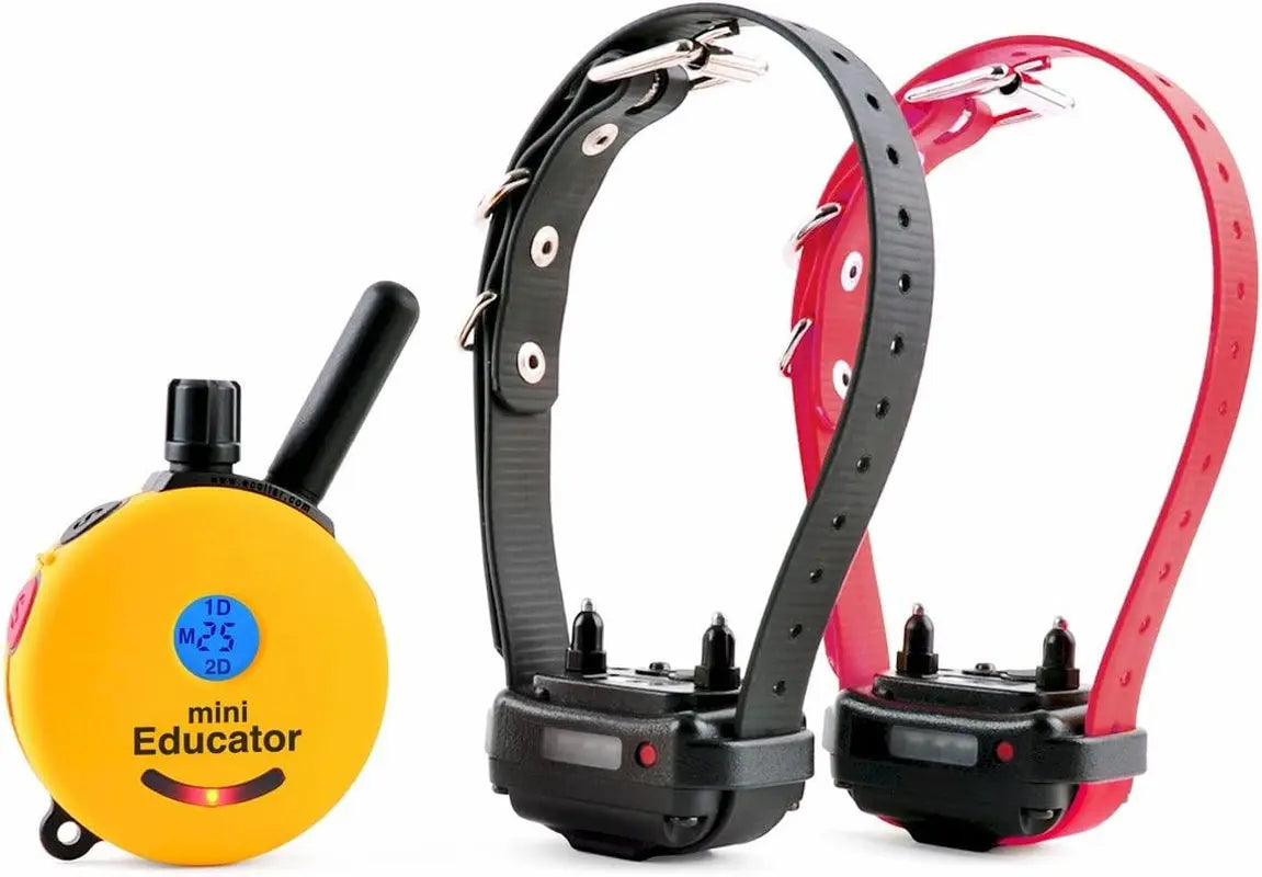 E-Collar Humane Dog Training Collar with Remote, 100 Safe Tapping Stimulation Levels, Night Light, Waterproof, Rechargeable, 1 Mile 2 Large Dogs, Orange Yellow 1 2 Mile 2 Dog Small-Medium Dog