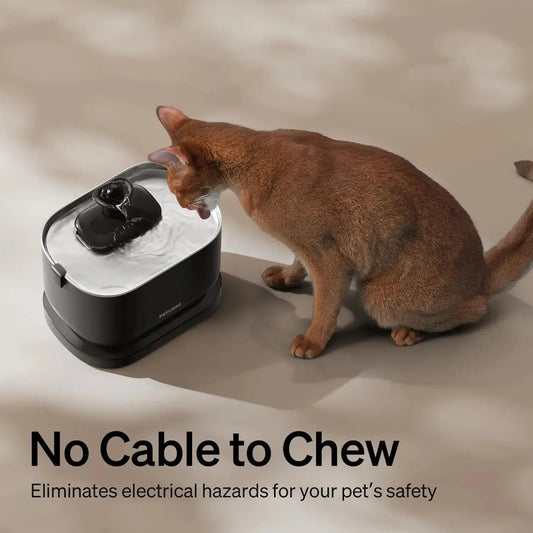 Keep-Your-Cat-Hydrated-Happy-Why-the-Cordless-Cat-Water-Fountain-is-a-Game-Changer Visionary Insights