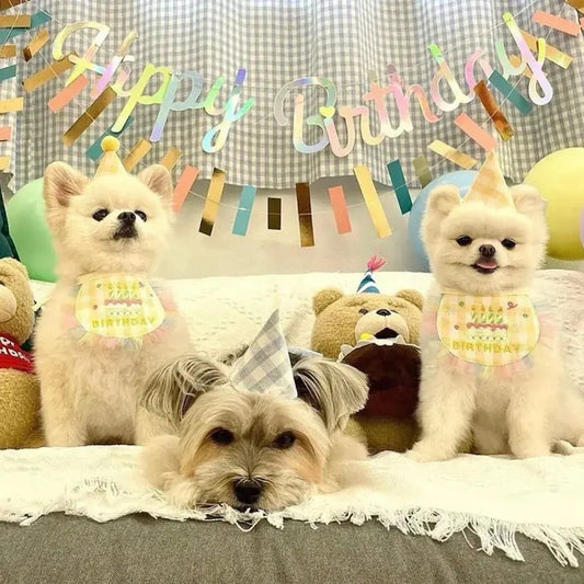 From-Family-Member-to-Fur-Baby-The-Rise-of-Pet-Humanization-Luxury-Pet-Lifestyles Visionary Insights