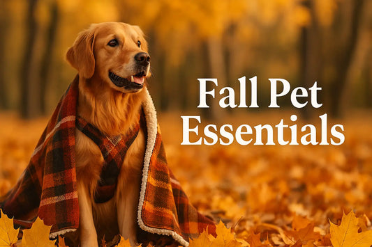 🍂 Fall Pet Safety & Essentials Guide: Keep Your Pets Cozy, Safe & Happy This Season - Wags & Whiskers Supply