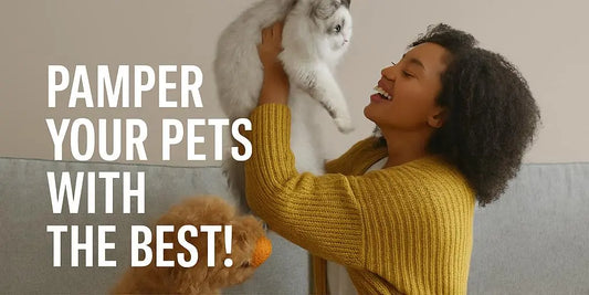 Wags and Whiskers Pet Supply: Your Essential Shopping Checklist - Wags & Whiskers Supply