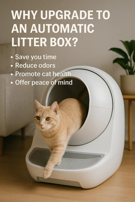 The 2025 Guide to Self-Cleaning (Robotic) Litter Boxes: 3 Top Picks Compared - Wags & Whiskers Supply