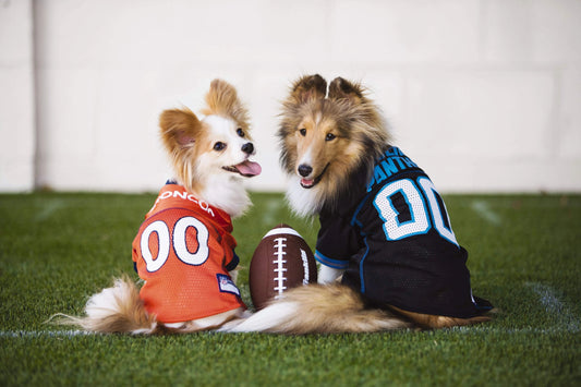 Get-Game-Day-Ready-NCAA-NFL-Pet-Jerseys-for-Dogs-Cats Visionary Insights