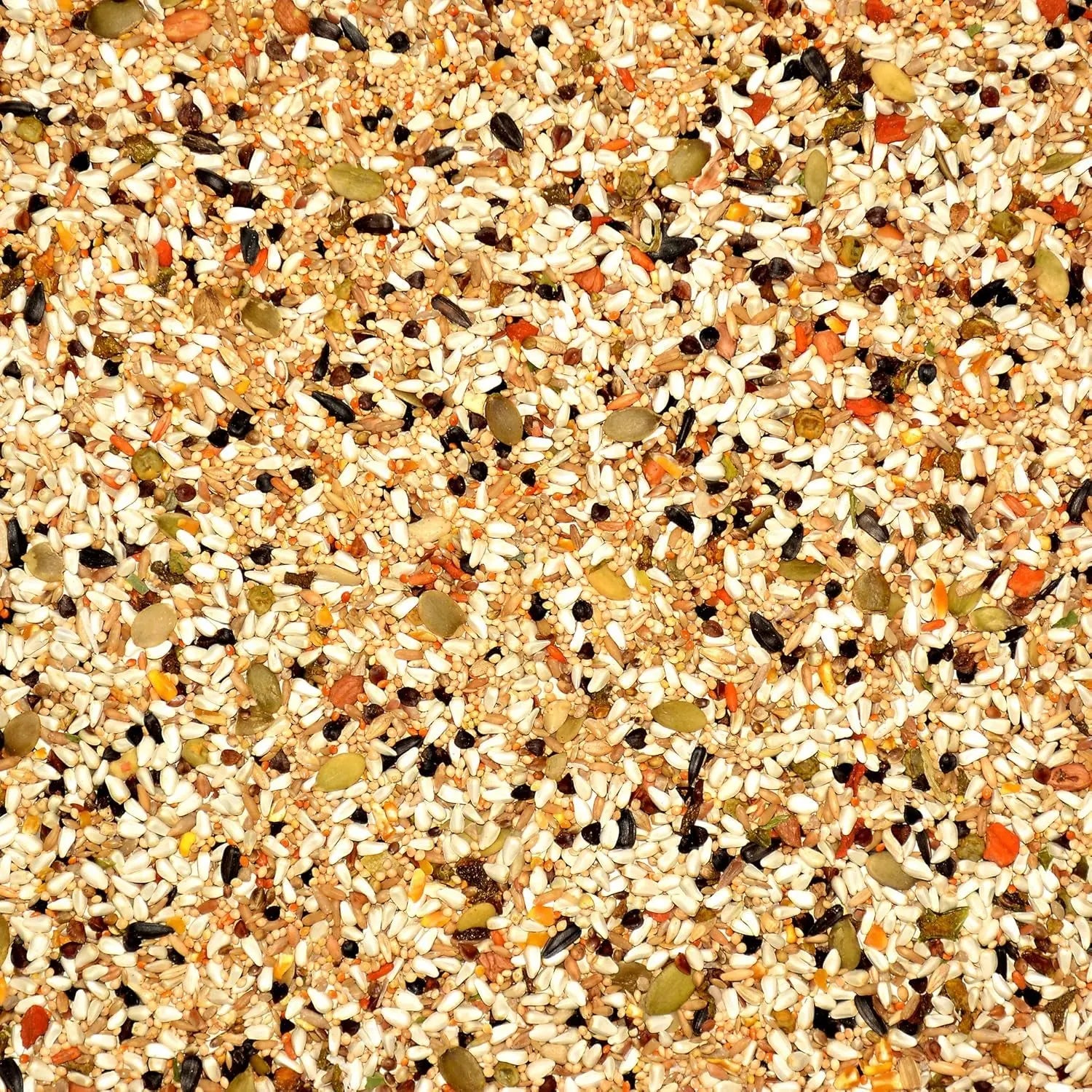 Avian Science Bird Seed 4lb for Lovebirds & Conures – Premium Nutritional Blend