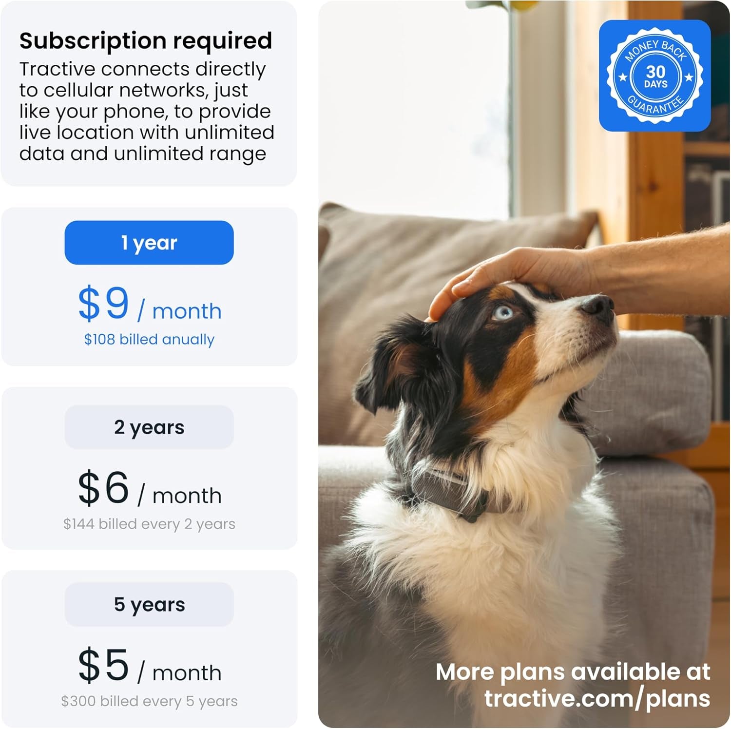 Smart Dog GPS Tracker Bundle Live Tracking Virtual Fence Health Monitor