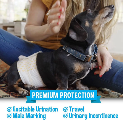 Male Dog Diapers 20 Pack – Disposable Belly Bands, Leak Proof, Absorbent