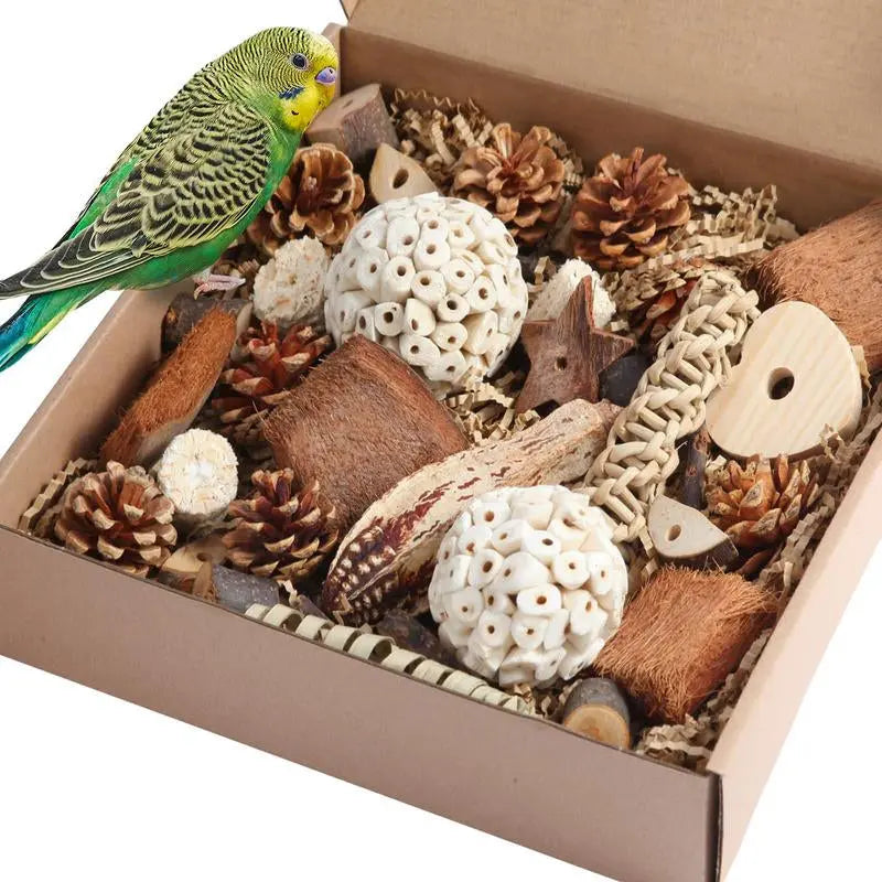 Natural Bird Foraging & Foot Toys | Enrichment Toys for Small to Medium Birds Large