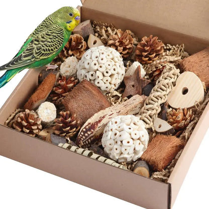Natural Bird Foraging & Foot Toys | Enrichment Toys for Small to Medium Birds Large