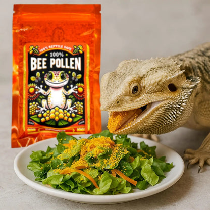 100% Bee Pollen Powder Reptile Food Topper for Geckos Isopods