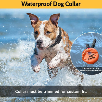 E-Collar Humane Dog Training Collar with Remote, 100 Safe Tapping Stimulation Levels, Night Light, Waterproof, Rechargeable, 1 Mile 2 Large Dogs, Orange