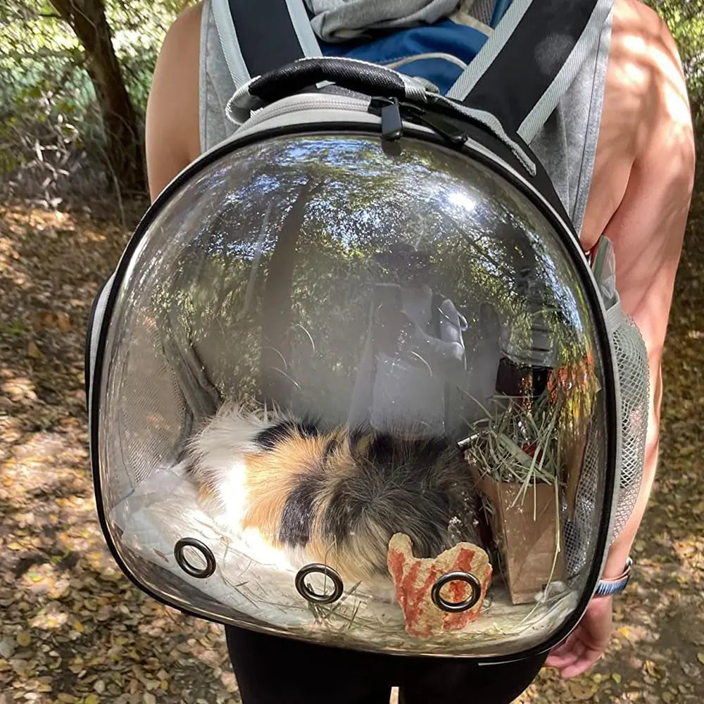 Small Pet Carrier Backpack with Clear Window, Airline Approved Travel Bag for Guinea Pig, Reptile, Hedgehog, Rat & Parrot