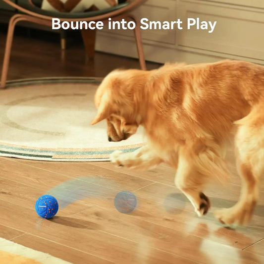 Wicked Ball Air – Smart Interactive Dog Toy, Auto Moving & Bouncing (3 Modes)