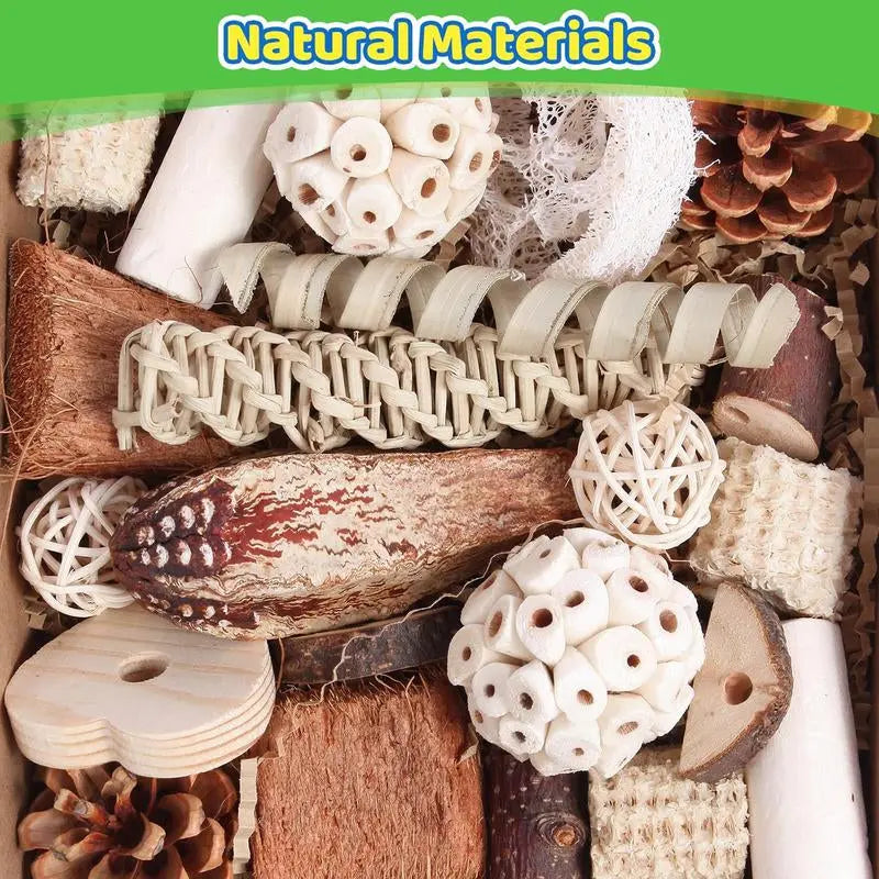 Natural Bird Foraging & Foot Toys | Enrichment Toys for Small to Medium Birds