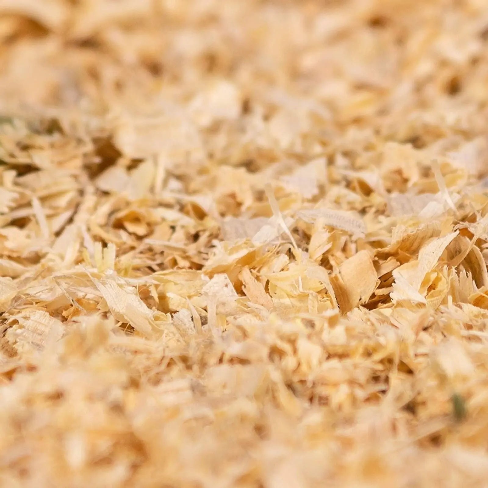 Pine Bedding for Small Pets | Kiln-Dried Soft Pine Pet Bedding 41L