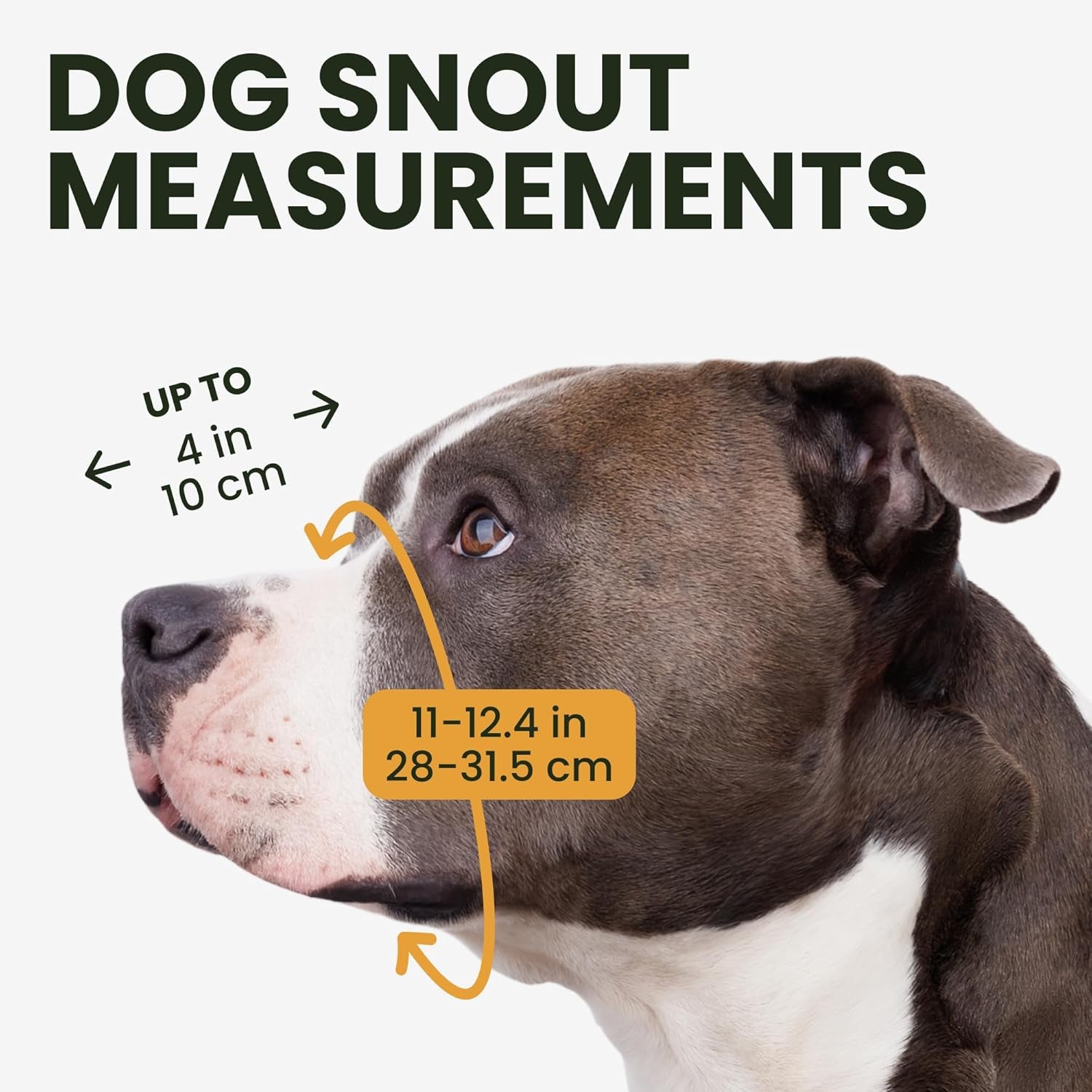 Breathable Metal Basket Dog Muzzle for Large Dogs with Leather Straps