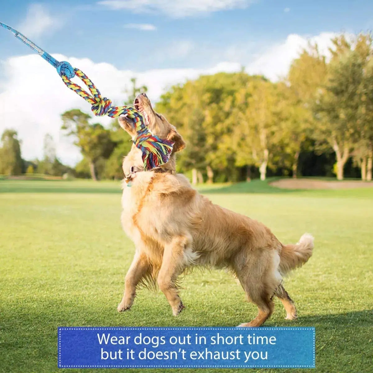 Flirt Pole Dog Toy Interactive Chase & Tug Training Wand for Small Medium Large Dogs