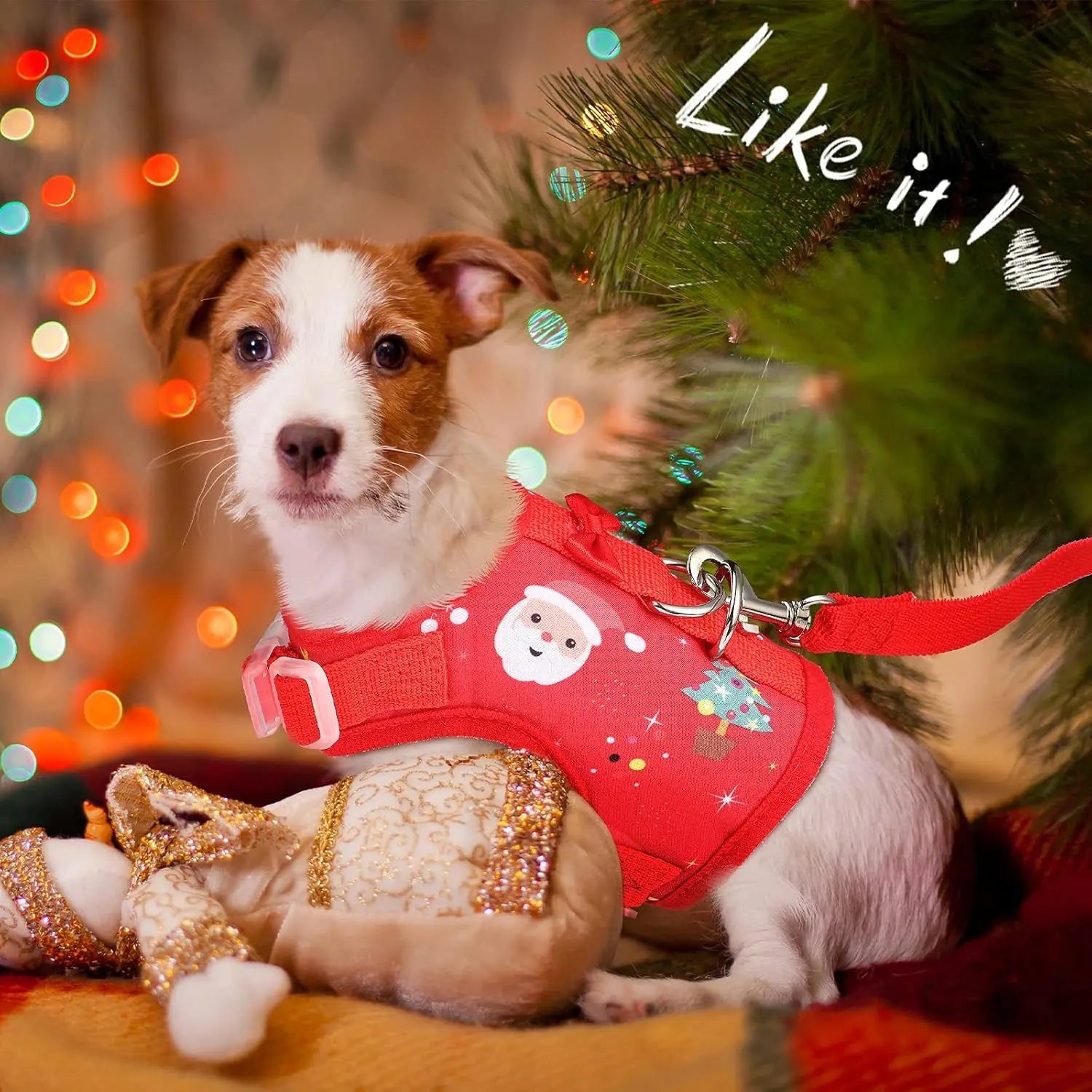2-Pack Christmas Dog Harness & Leash Set – Adjustable Escape-Proof Vest (Medium)