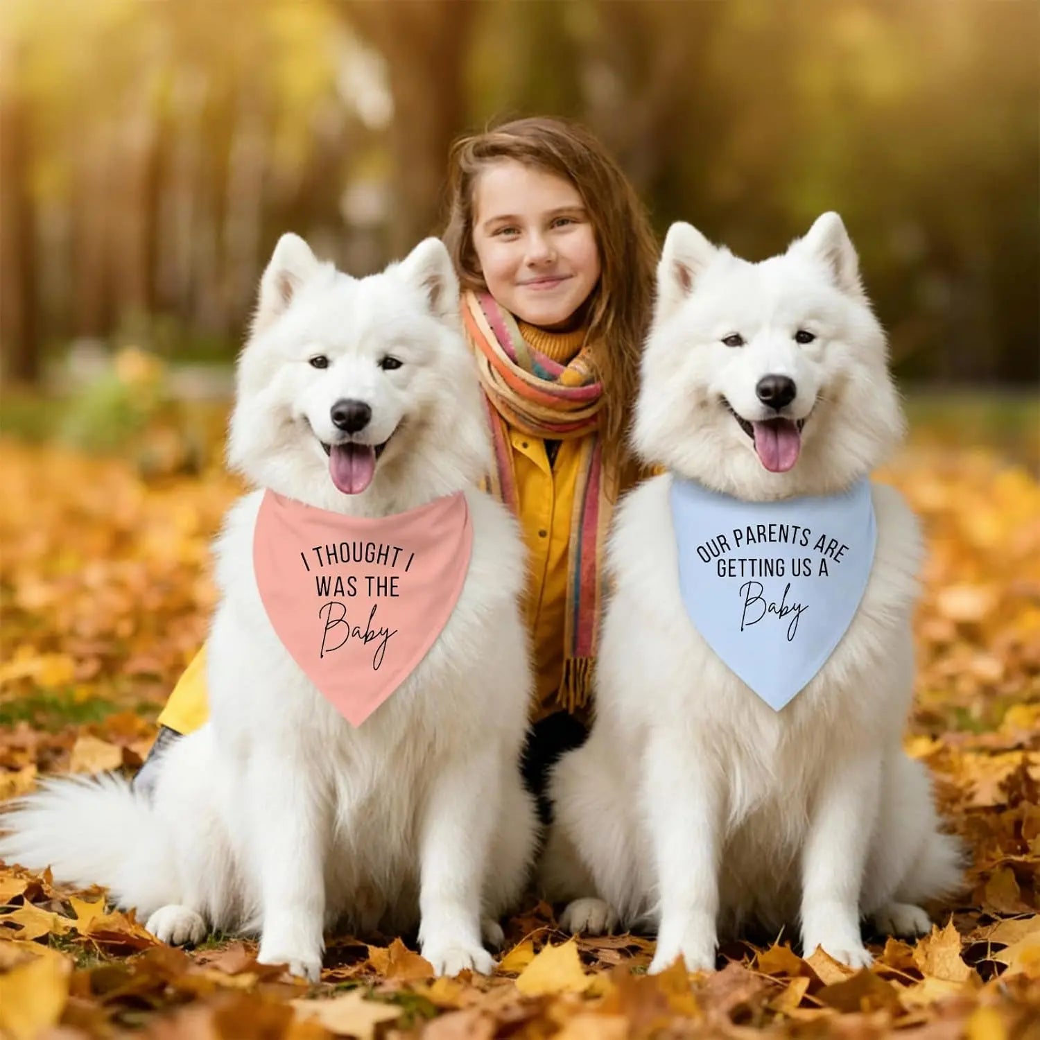 2 Pack Dog Pregnancy Announcement Bandanas Blue Pink Gender Reveal