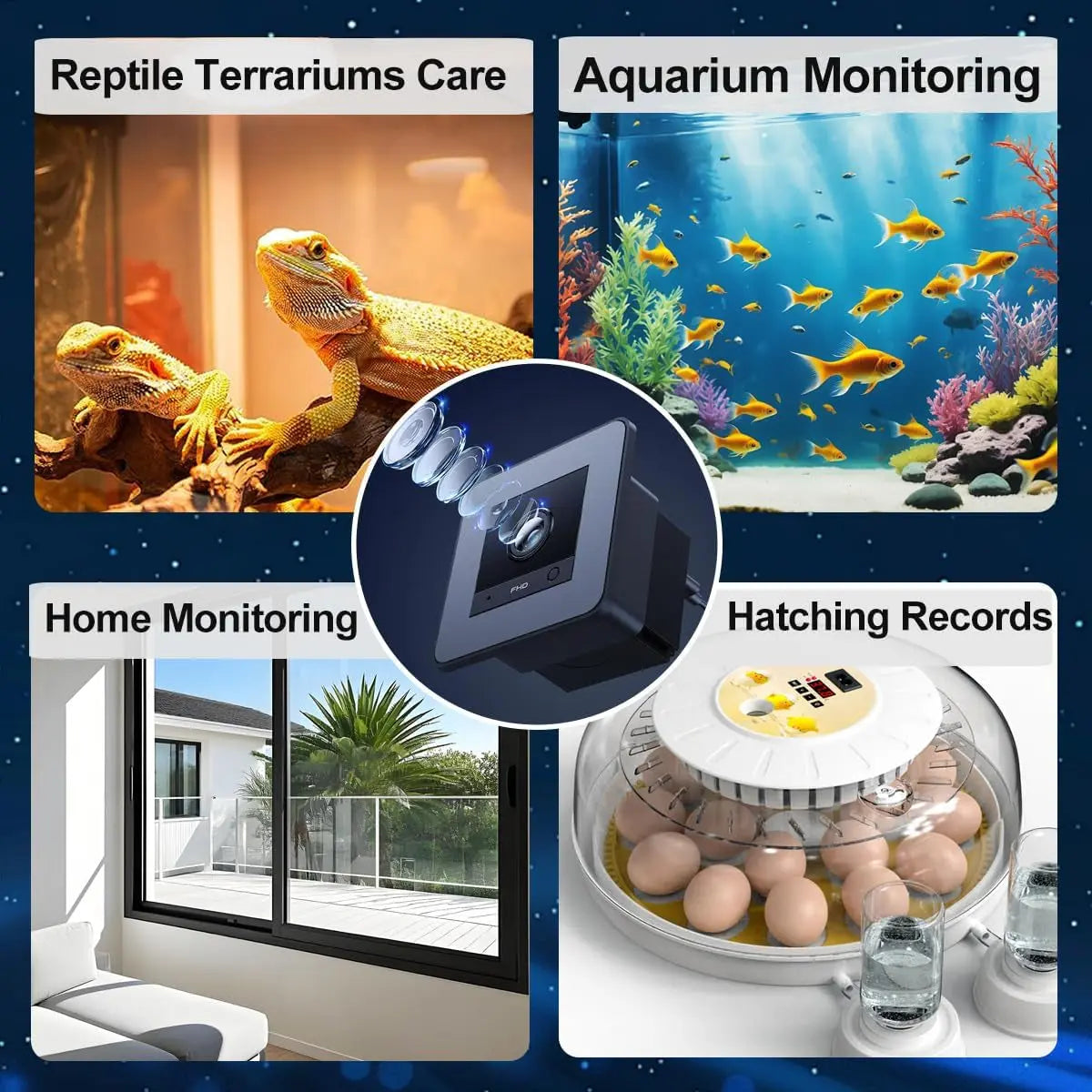 2K HD Aquarium & Terrarium Camera w/ Night Vision, Audio & 32GB Card