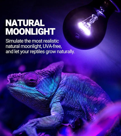 2Pack- 75W or 100W Reptile Night Heat Lamp Purple E26 E27 Bulbs
