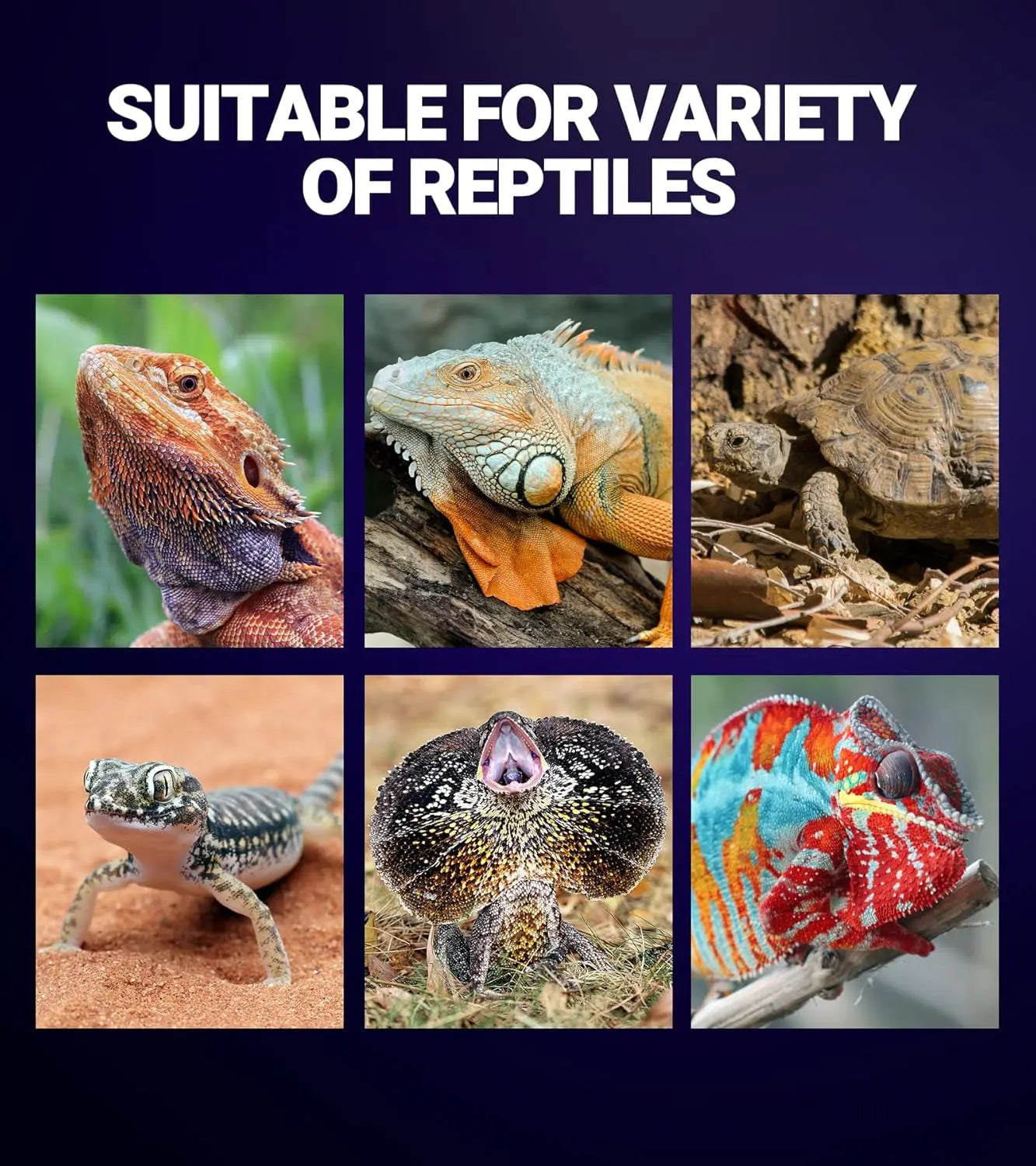 2Pack- 75W or 100W Reptile Night Heat Lamp Purple E26 E27 Bulbs