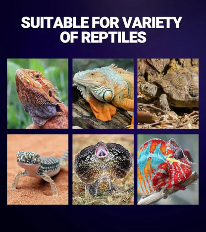 2Pack- 75W or 100W Reptile Night Heat Lamp Purple E26 E27 Bulbs