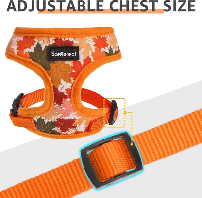 Small Dog or Cat Fall Harness, Collar & Leash Set– No Pull Adjustable Vest(Xs-M)