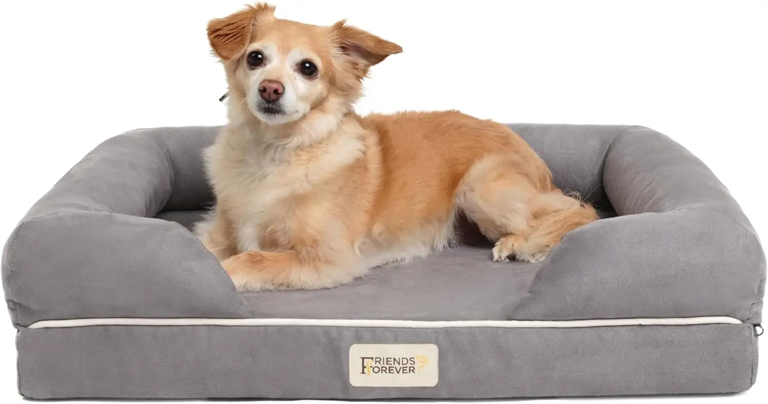 Chester Xx-Large Dog Bed - Orthopedic Memory Foam Mattress, Calming Couch Bed, Wall Rim Pillow, Water Resistant Liner, Washable Cover, Non-Slip Bottom Chester Grey Memory Foam Dog Bed 25.0"L X 20.0"W X 5.5"Th