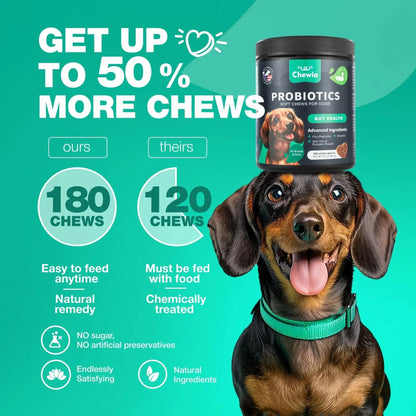 Dog Probiotics Chews with Digestive Enzymes – Gut Health, Immunity & Allergy Support