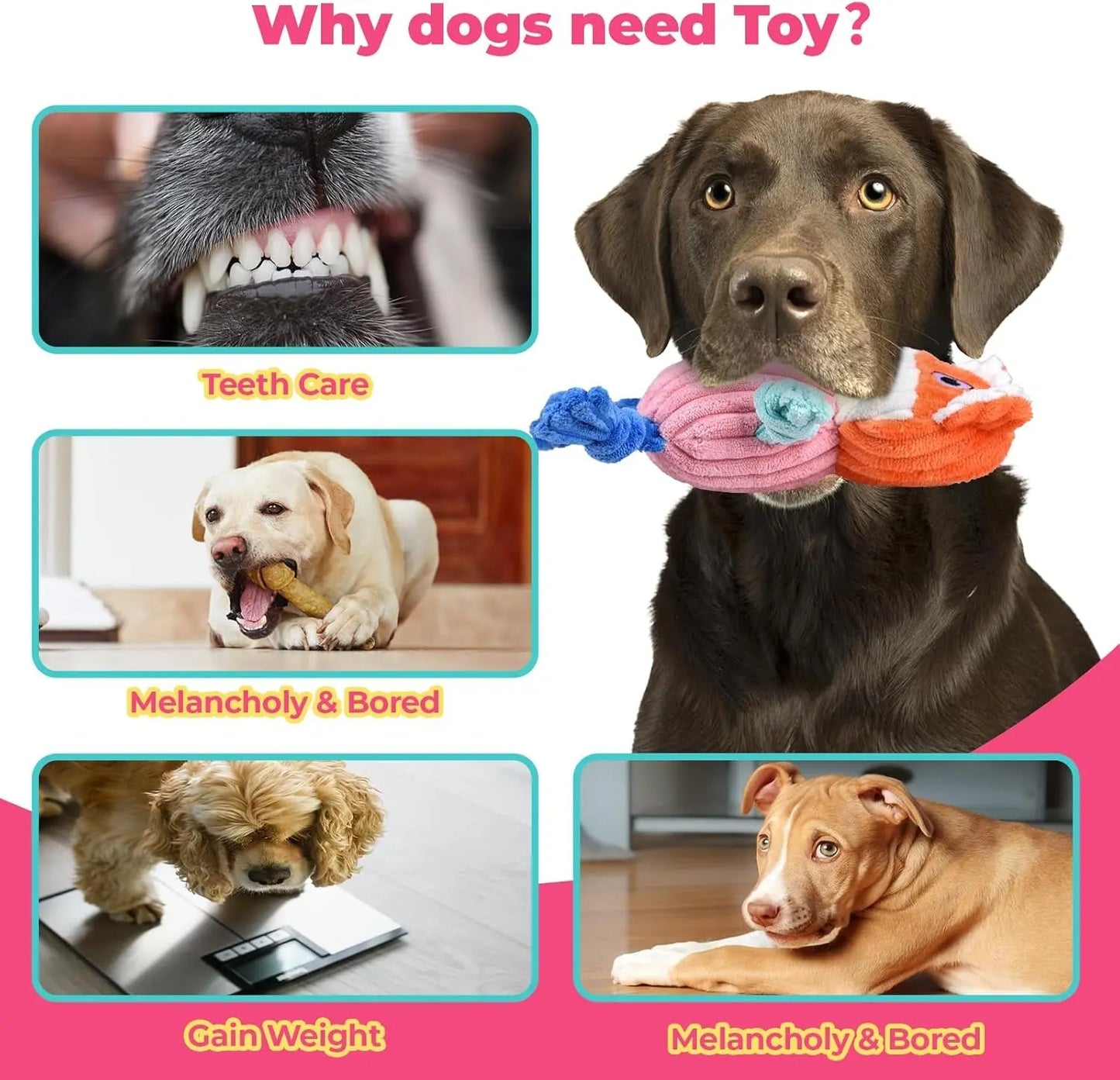 3-Pack Plus Chew Dog Squeaky Toys for Small Medium Large Dogs