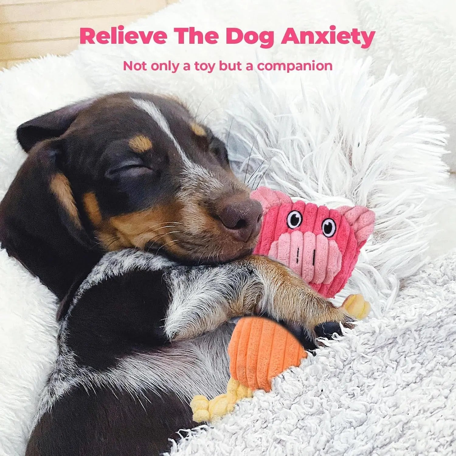 3-Pack Plus Chew Dog Squeaky Toys for Small Medium Large Dogs