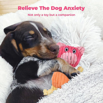 3-Pack Plus Chew Dog Squeaky Toys for Small Medium Large Dogs