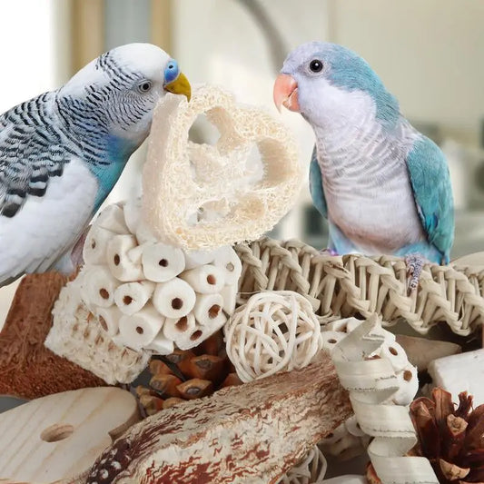Natural Bird Foraging & Foot Toys | Enrichment Toys for Small to Medium Birds