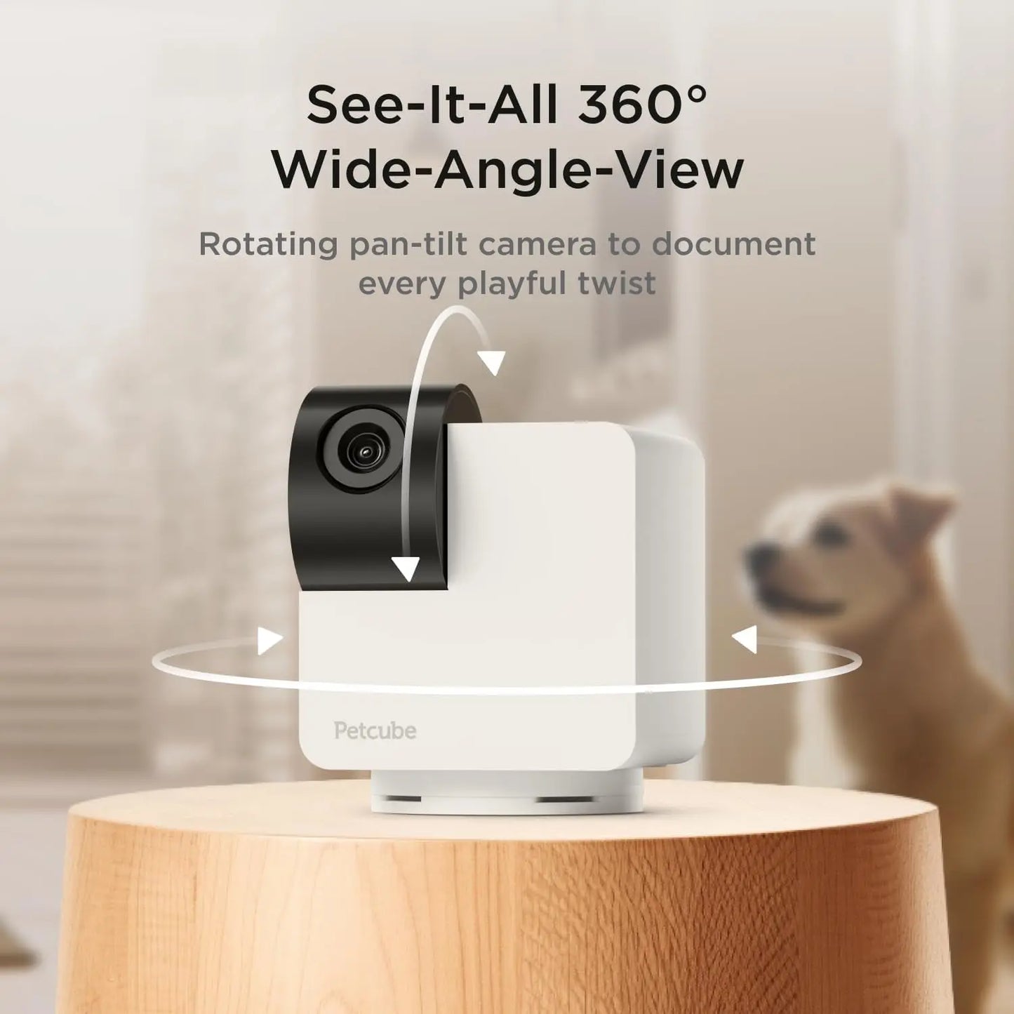 360° Pet Camera with App,1080P HD Video, Two-Way Audio, Night Vision & AI Alerts