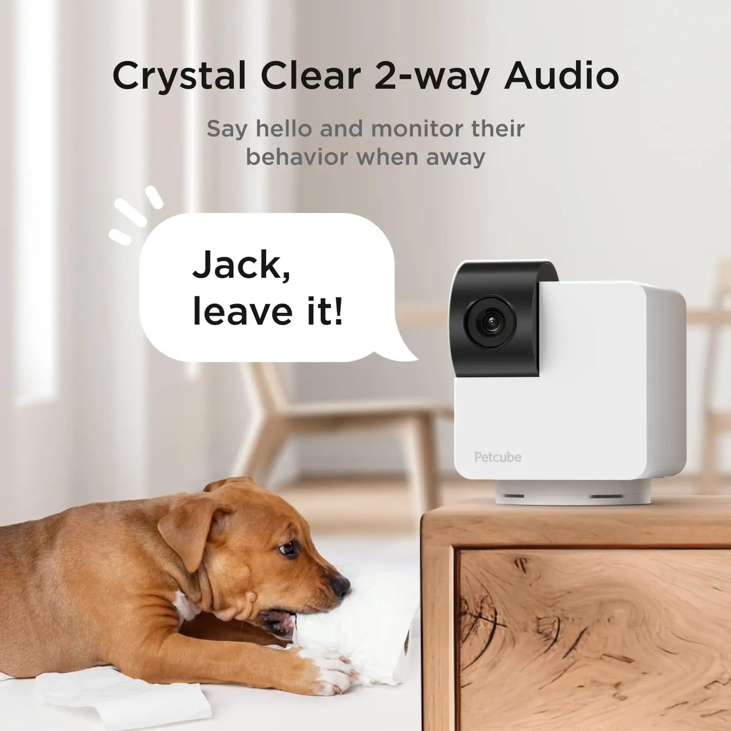 360° Pet Camera with App,1080P HD Video, Two-Way Audio, Night Vision & AI Alerts