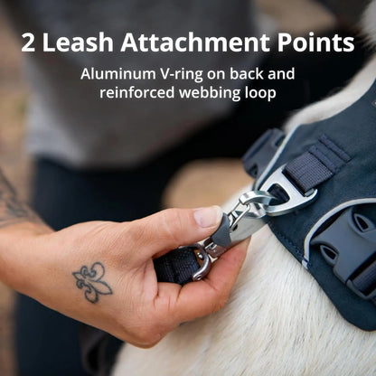 Reflective Lightweight Dog Harness for All Dogs - Padded & Adjustable for Walking, Training & Everyday Use