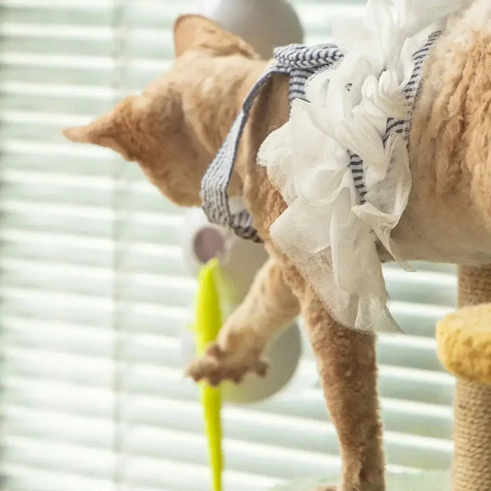 Interactive Caterpillar Smart Toy for Indoor Cats – Fun & Engaging Play